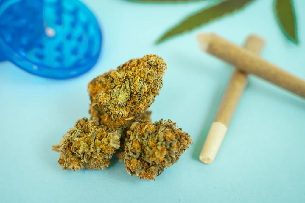 Cannabis education blog